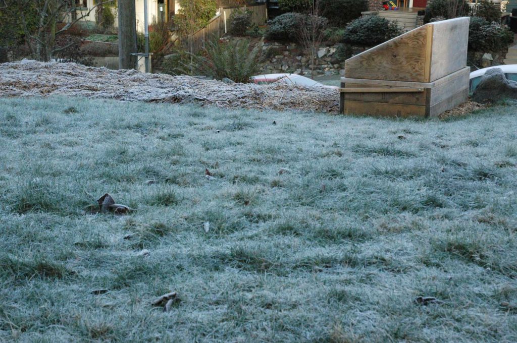 Frosty lawn