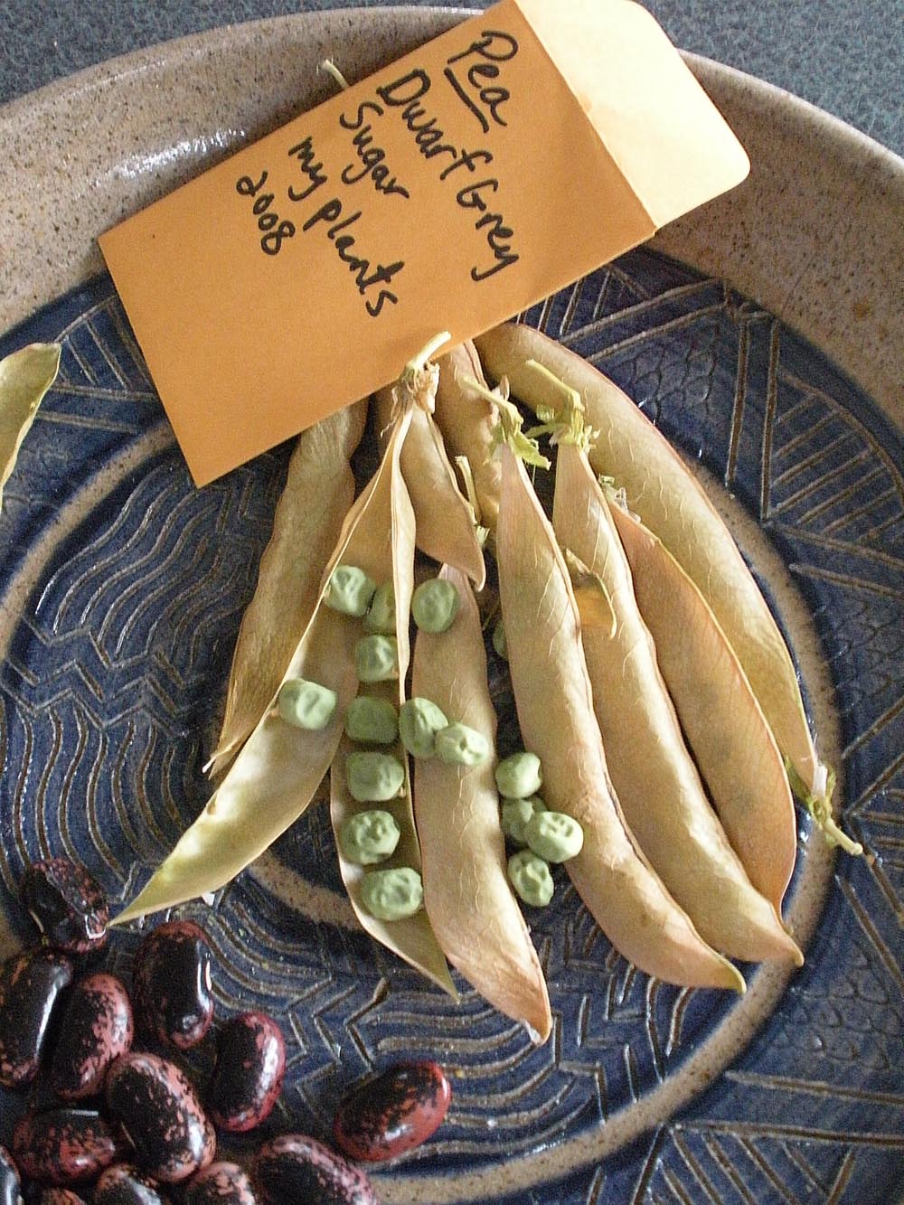 Seeds on a plate