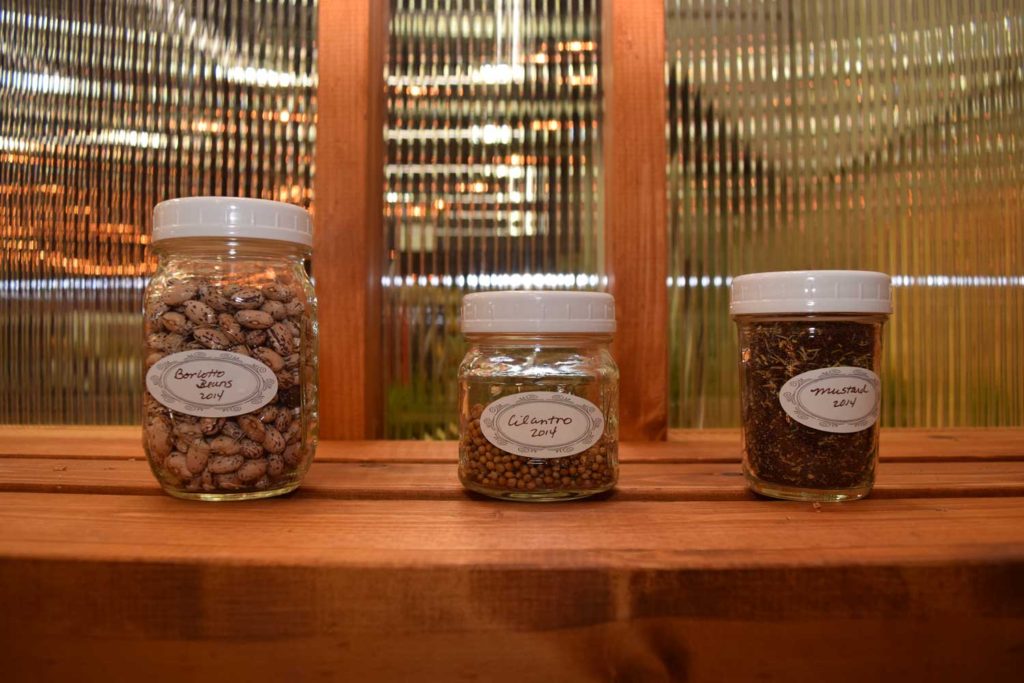 seeds in jars